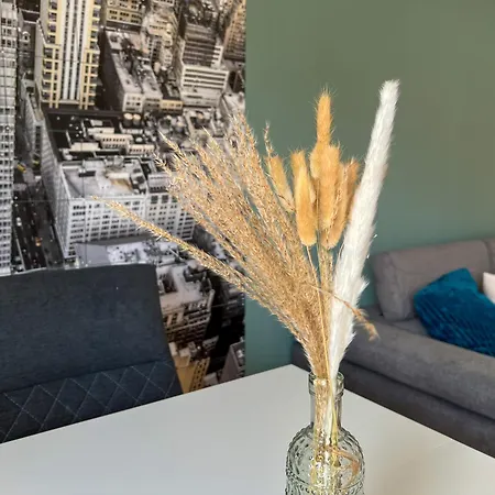 New-york Appartment, 2 Zimmer, Zentral Naehe Bahnhof Wilhelmshoehe Apartment *